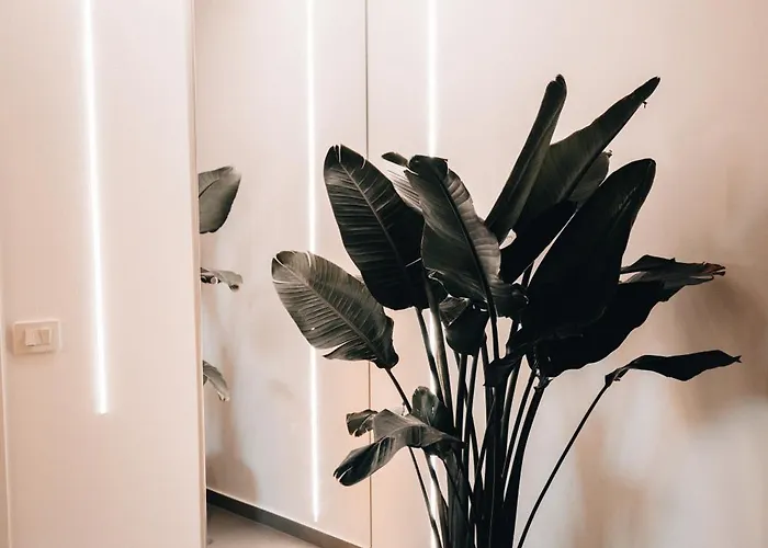 Le Palme לינה וארוחת בוקר