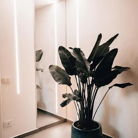 Le Palme Bed and Breakfast